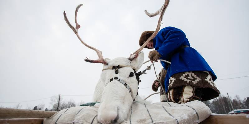 Новые IT-стойбища появятся в Сургутском районе
