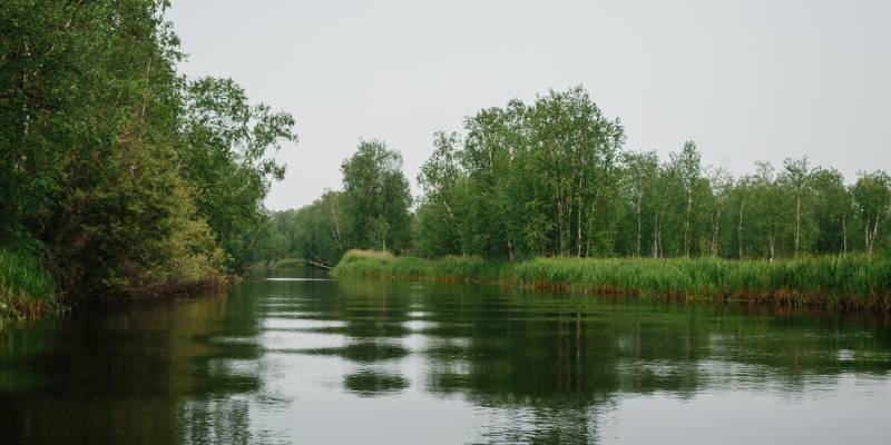 Опасно для жизни: вода в реках и озерах Сургутского района не прошла контроль