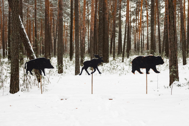 В ХМАО завершается осенне-зимний сезон охоты: что нужно сделать охотникам