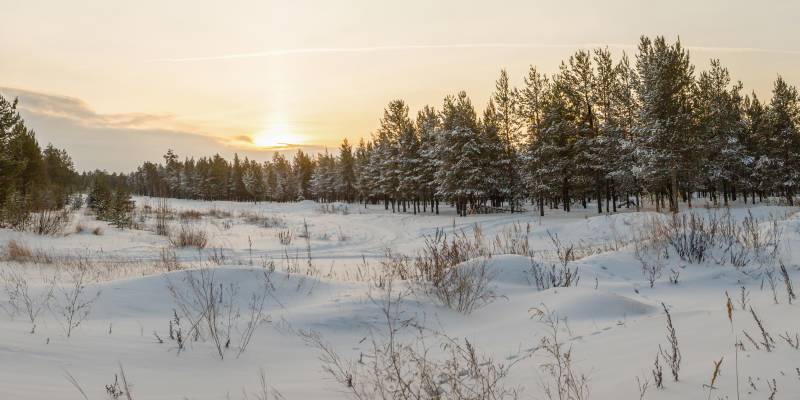 В Сургуте в начале декабря резко похолодает до -30