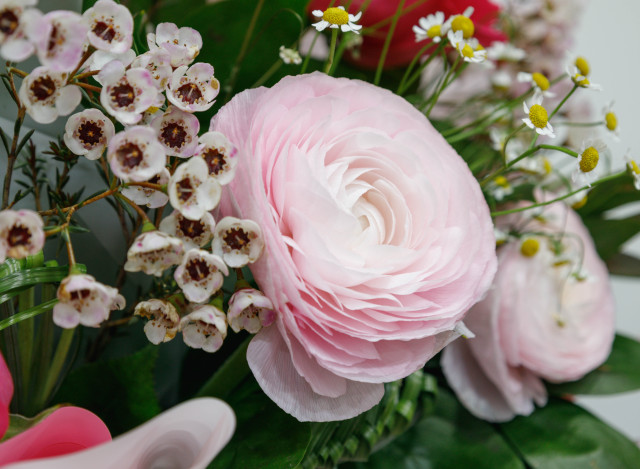 Где отметить с любимыми 8 Марта в ХМАО. АФИША