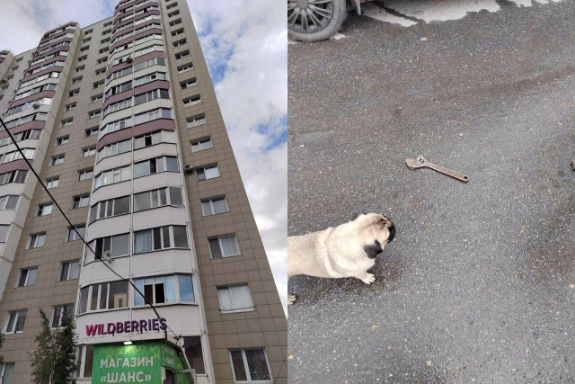 Летают сапоги и гаечные ключи: в Сургуте горе-сосед выкидывает из окна ненужный хлам