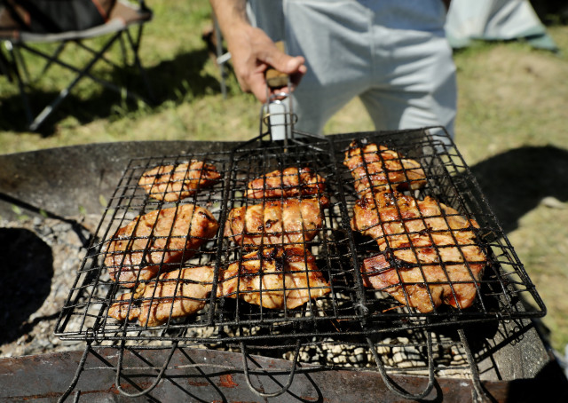 Высокопоставленный сотрудник МЧС из ХМАО рассказал, как не получить штраф за шашлыки на майские