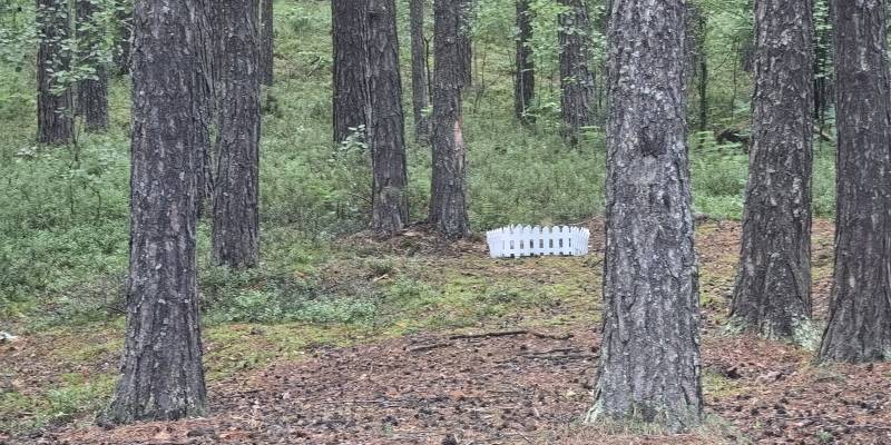 ​Власти Сургутского района начали борьбу с нарушителями, похоронившими животных на Барсовой горе