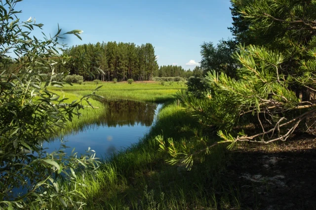Половина исследованных водоемов в ХМАО непригодны для купания Половина исследованных водоемов в ХМАО непригодны для купания
