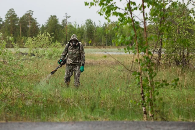 ​Энтомолог сообщил, ждет ли ЯНАО нашествие комаров этой весной