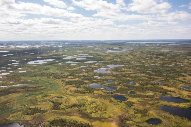 В Сургуте продают камень с места падения Тунгусского метеорита В Сургуте продают камень с места падения Тунгусского метеорита