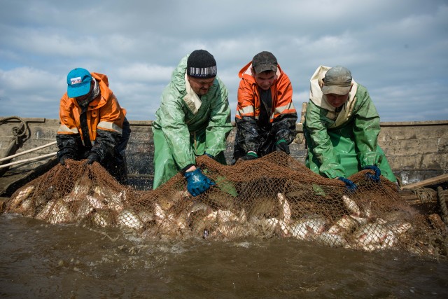 ​Власти Сургутского района окажут рыбзаводу «Восход» дополнительную финансовую помощь
