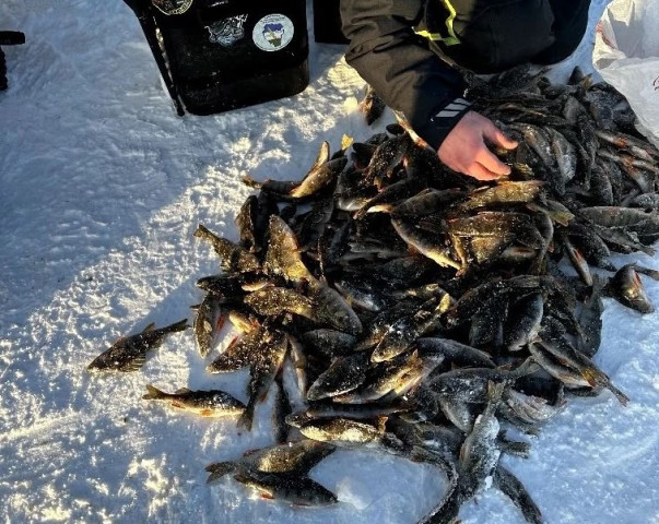 ​Целые горы окуней наловили рыбаки на водоемах в ХМАО. ФОТО