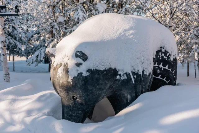 ​В ХМАО медведи проснутся раньше обычного