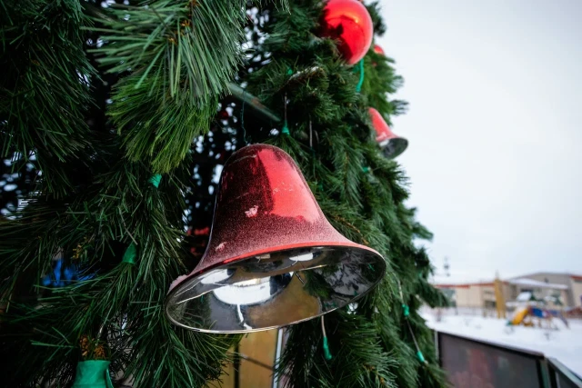 ​Праздник не уходит: в Лянторе обсуждают елку, которую до сих пор не убрали с площади