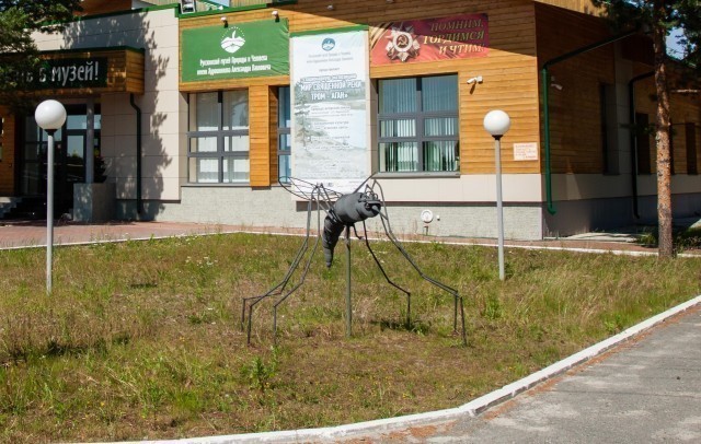 ​По столице ХМАО прошелся торнадо из комаров