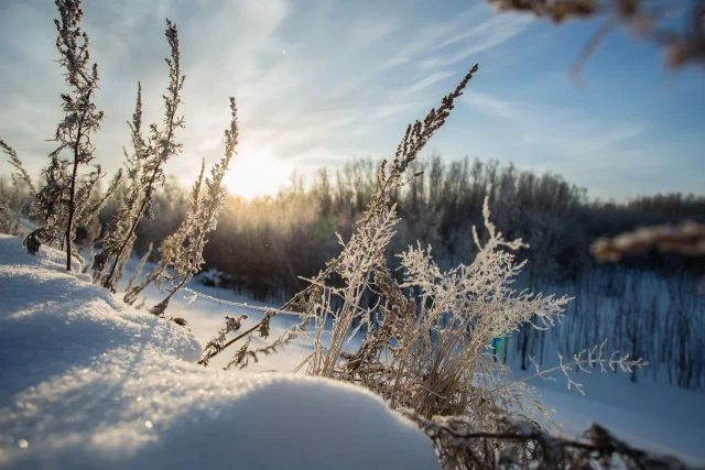 ​Столбики термометров в ХМАО рухнут до &ndash;19 &deg;C