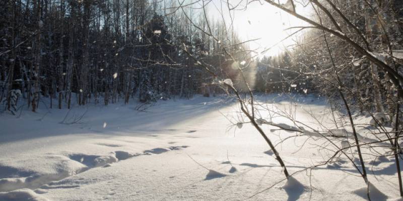 ​Морозы до -44 градусов накроют ХМАО