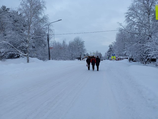 Прямиком по проезжей части - так ходят дети в школу в Барсово