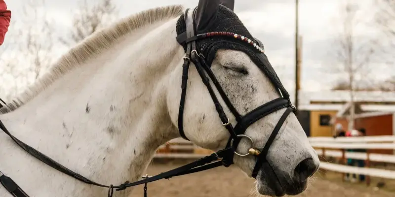 ​Югорский зоолог рассказал о повадках и особенностях символа 2026 года