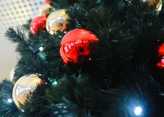 Почта России предложила югорчанам отправить новогодние подарки знакомым в США Почта России предложила югорчанам отправить новогодние подарки знакомым в США