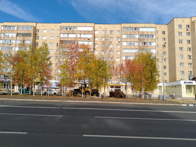 ​В центре Сургута рабочие на экскаваторах ломают деревья