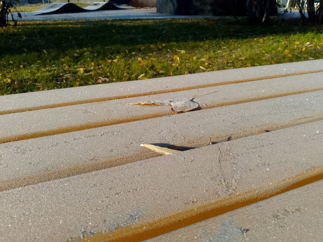 Столбики термометров в ХМАО рухнут до –19 °C Столбики термометров в ХМАО рухнут до –19 °C