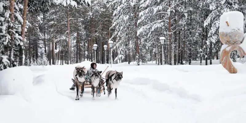От мощи промышленности до этнокультуры: еще больше туристов приедут в Сургутский район