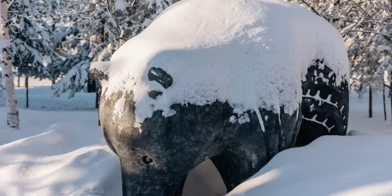 ​В ХМАО медведи проснутся раньше обычного