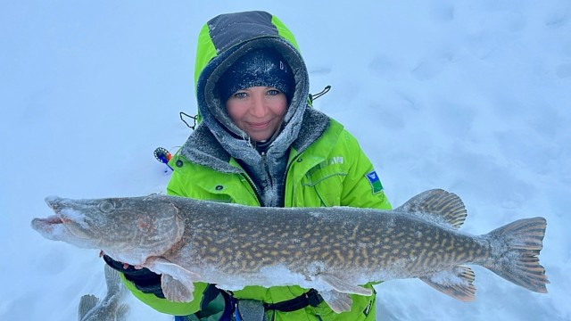 ​Рыбачка из ХМАО в 30-градусные морозы поймала огромных щук. Фото