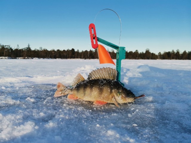 Стало известно, когда в ХМАО официально откроется зимний сезон рыбалки
