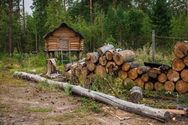 ​Необходимость в дровах в Сытомино превысила плановые показатели в два раза