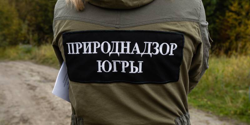 Природнадзор проверит дорогу из мусора в ХМАО