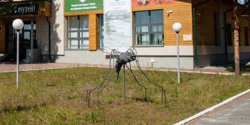 ​Ожидать ли нашествия комаров этим летом в ХМАО, объяснил эксперт