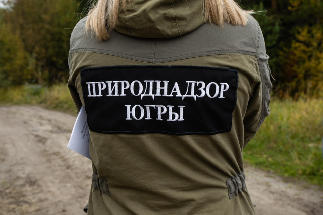 Природнадзор проверит дорогу из мусора в ХМАО Природнадзор проверит дорогу из мусора в ХМАО