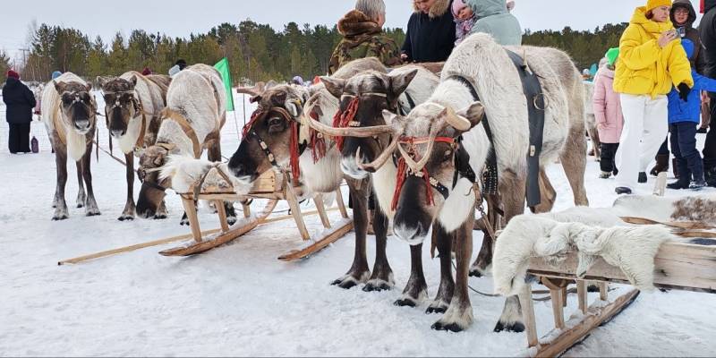 ​Ежегодный Слет оленеводов в Сургутском районе объединил гостей из разных уголков страны. ФОТО