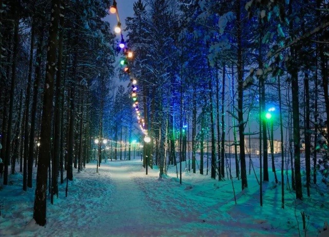 ​Проект зимнего парка из Нягани претендует на победу во всероссийской премии «Служение»