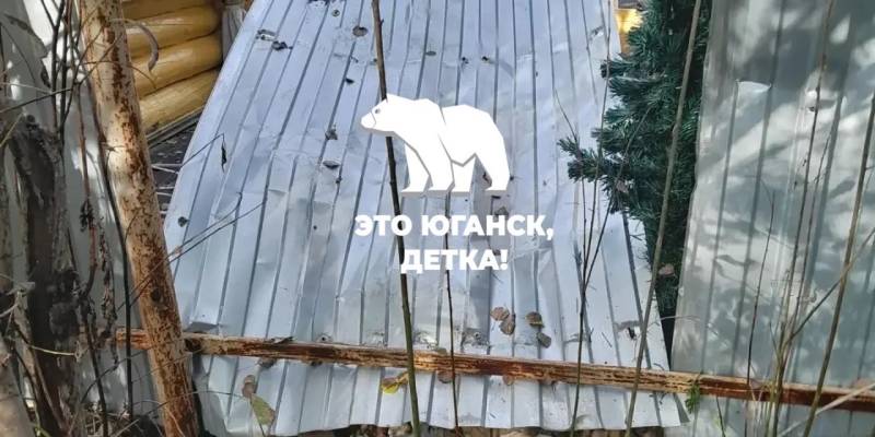 ​Медвежий рэкет под Нефтеюганском: косолапый штурмует дачи и снова пугает людей