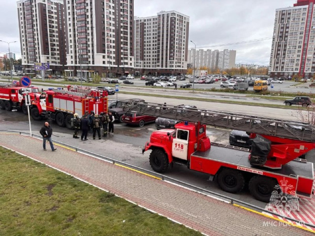 ​Пожарные спасли двух детей из горящей квартиры в Сургуте