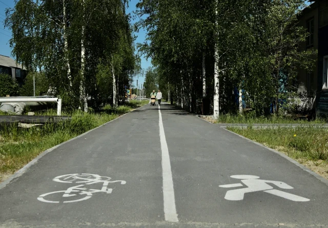 Велодорожки на центральных улицах появятся в Сургуте