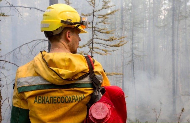 Чаще всего леса горят по вине самих югорчан Чаще всего леса горят по вине самих югорчан