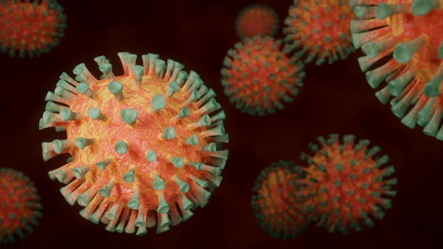 В ХМАО за сутки выявили 237 новых случаев коронавируса