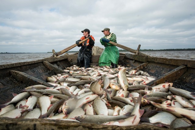 Помощь рыбакам или карт-бланш браконьерам: в Югре обсуждают законопроект о рыболовных билетах