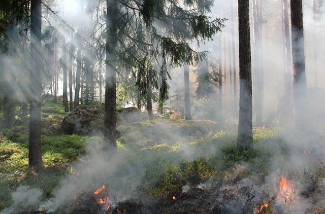 Югорчане помогут соседям в тушении природных пожаров