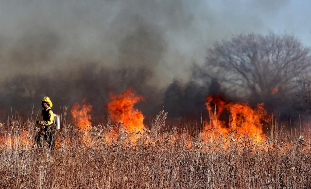 В ХМАО растёт площадь природных пожаров