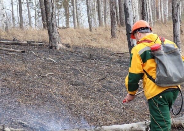 В Югре потушили первый лесной пожар