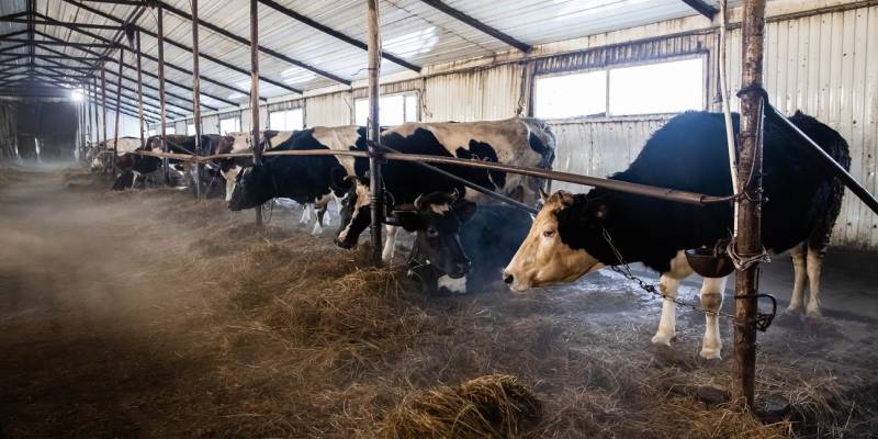 ​Россельхознадзор информирует