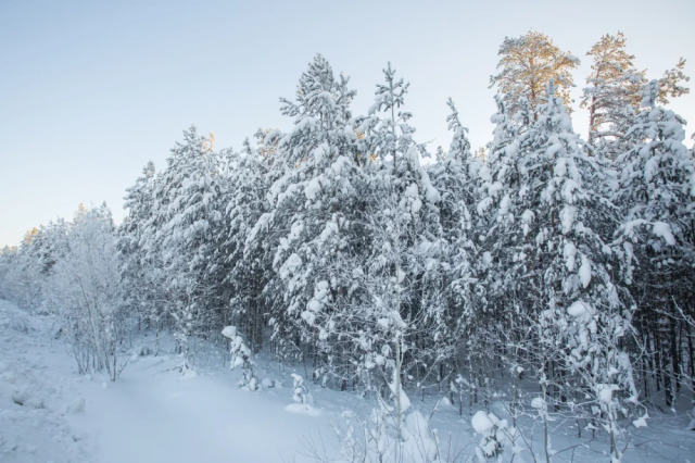 Экстренное предупреждение о наступлении опасных явлений погоды