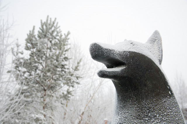 Неблагоприятные погодные явления ожидаются в Сургутском районе