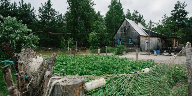​Картошка под подушкой