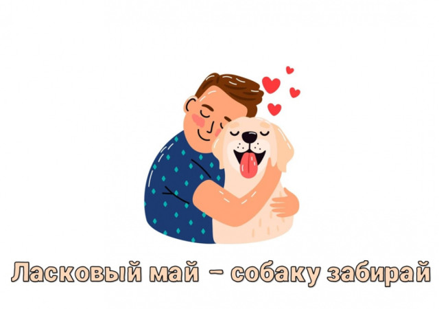 В Югре проходит зоозащитная акция «Ласковый май – собаку забирай»