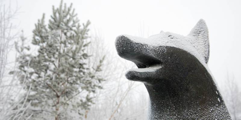 Неблагоприятные погодные явления ожидаются в Сургутском районе