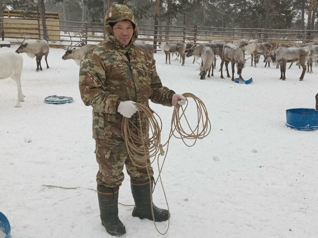 Новости одной строкой
