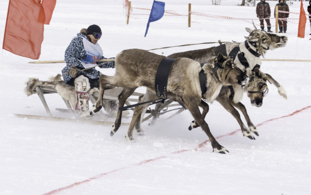 Юбилейный Слет оленеводов, рыбаков и охотников прошел в Сургутском районе